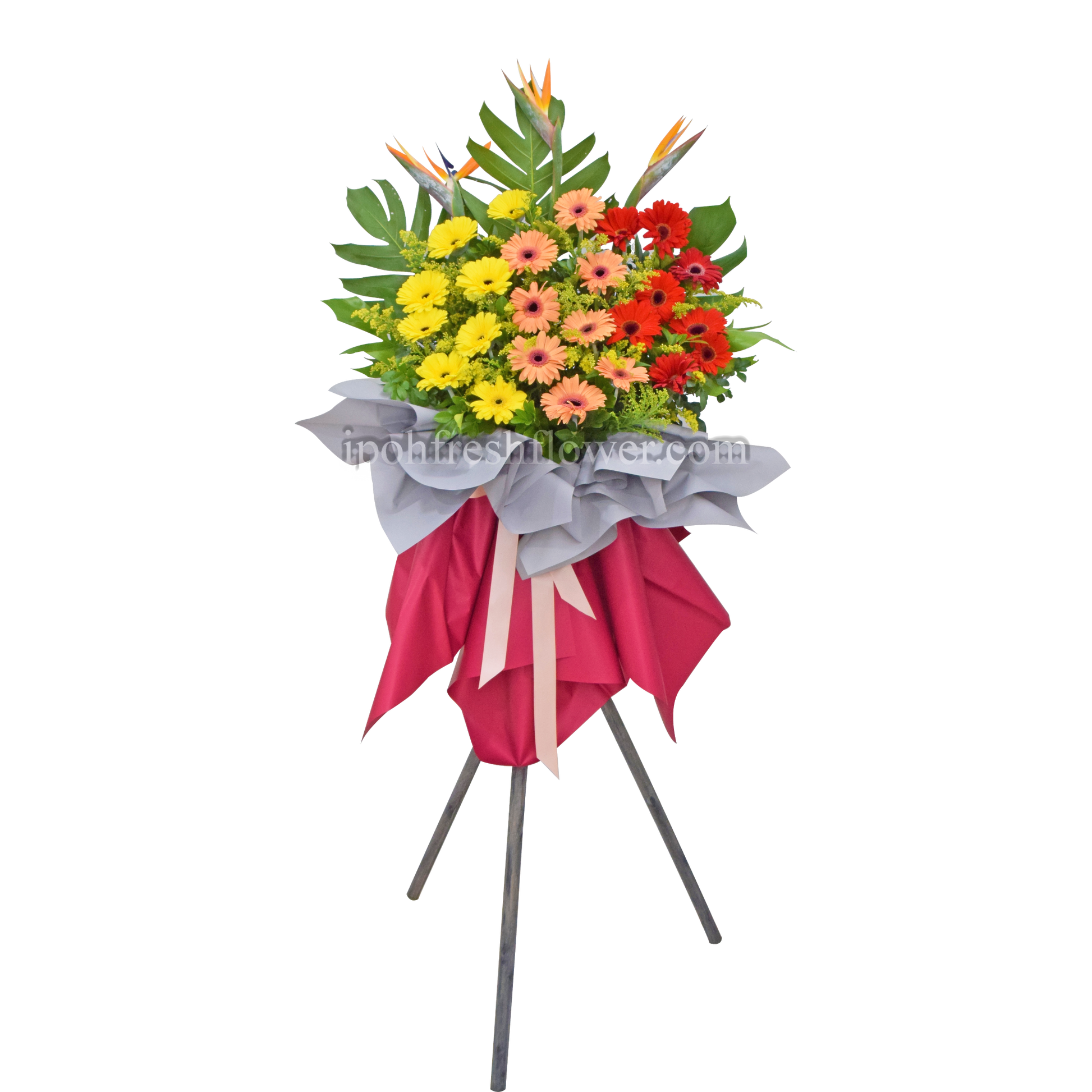 Joyful| Fresh Flower Grand Opening Stand