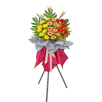 Joyful| Fresh Flower Grand Opening Stand