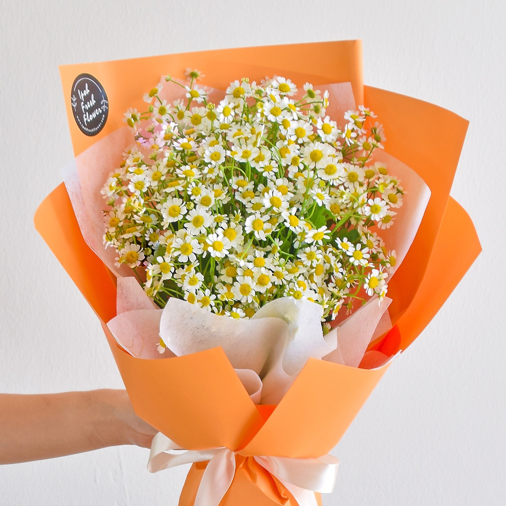 Serein Chamomile Bouquet| Same Day Fresh Flower Delivery