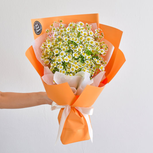 Serein Chamomile Bouquet| Same Day Fresh Flower Delivery